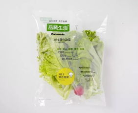 蘇州松下新植物工廠蔬菜正式出貨，科技農業開啟綠色新篇章
