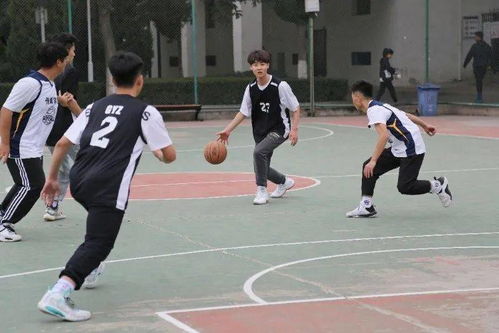 籃筐下的熱血 在球場上書寫青春